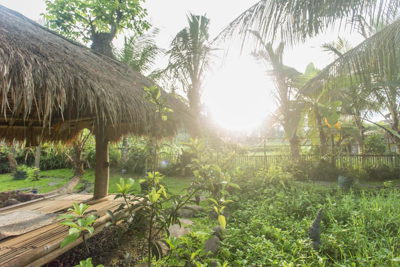 Ubud Luwih Nature Retreat Dış mekan fotoğraf