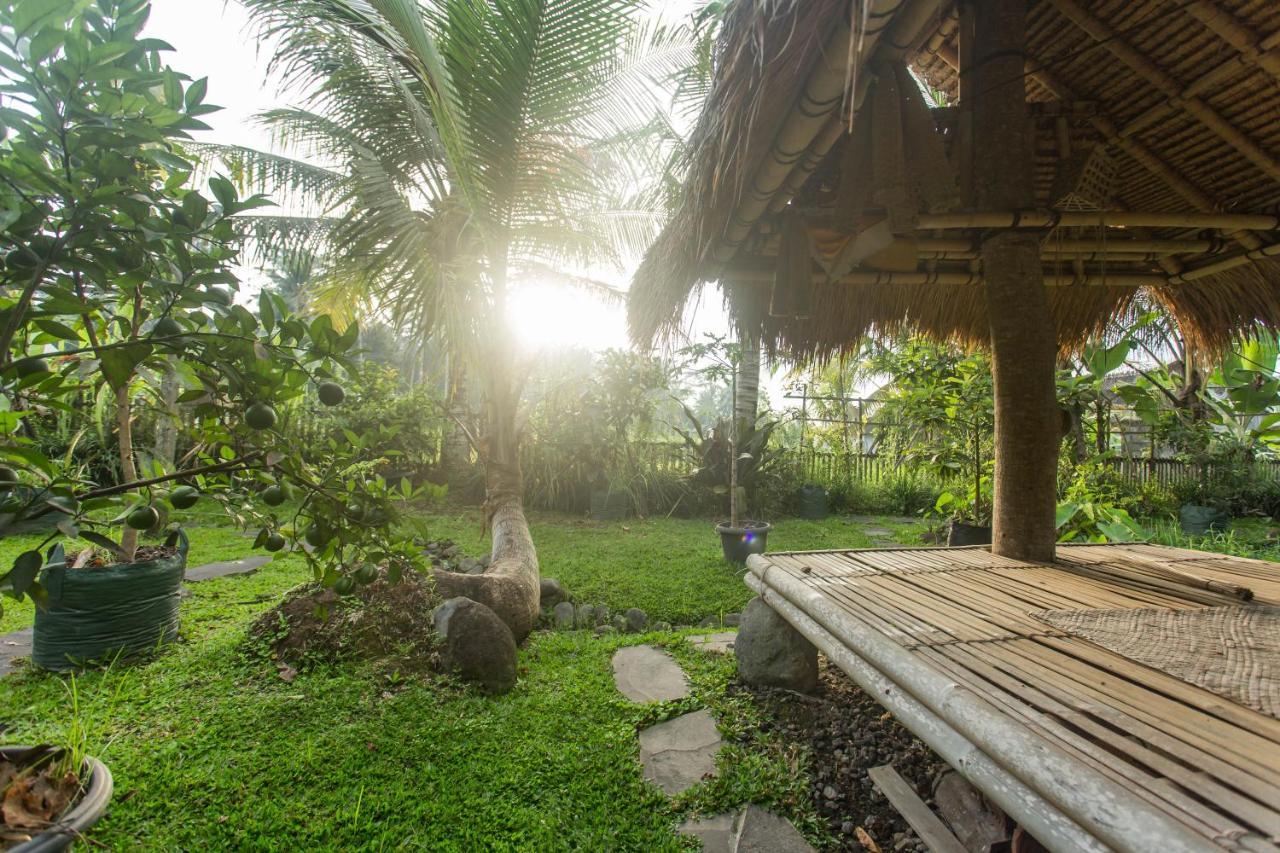 Ubud Luwih Nature Retreat Dış mekan fotoğraf