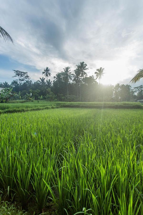 Ubud Luwih Nature Retreat Dış mekan fotoğraf