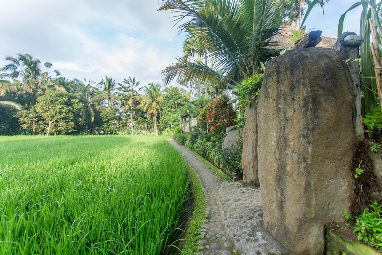 Ubud Luwih Nature Retreat Dış mekan fotoğraf