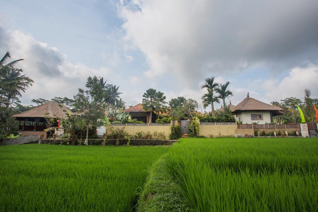 Ubud Luwih Nature Retreat Dış mekan fotoğraf